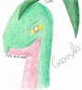 Shaymin: Grovyle