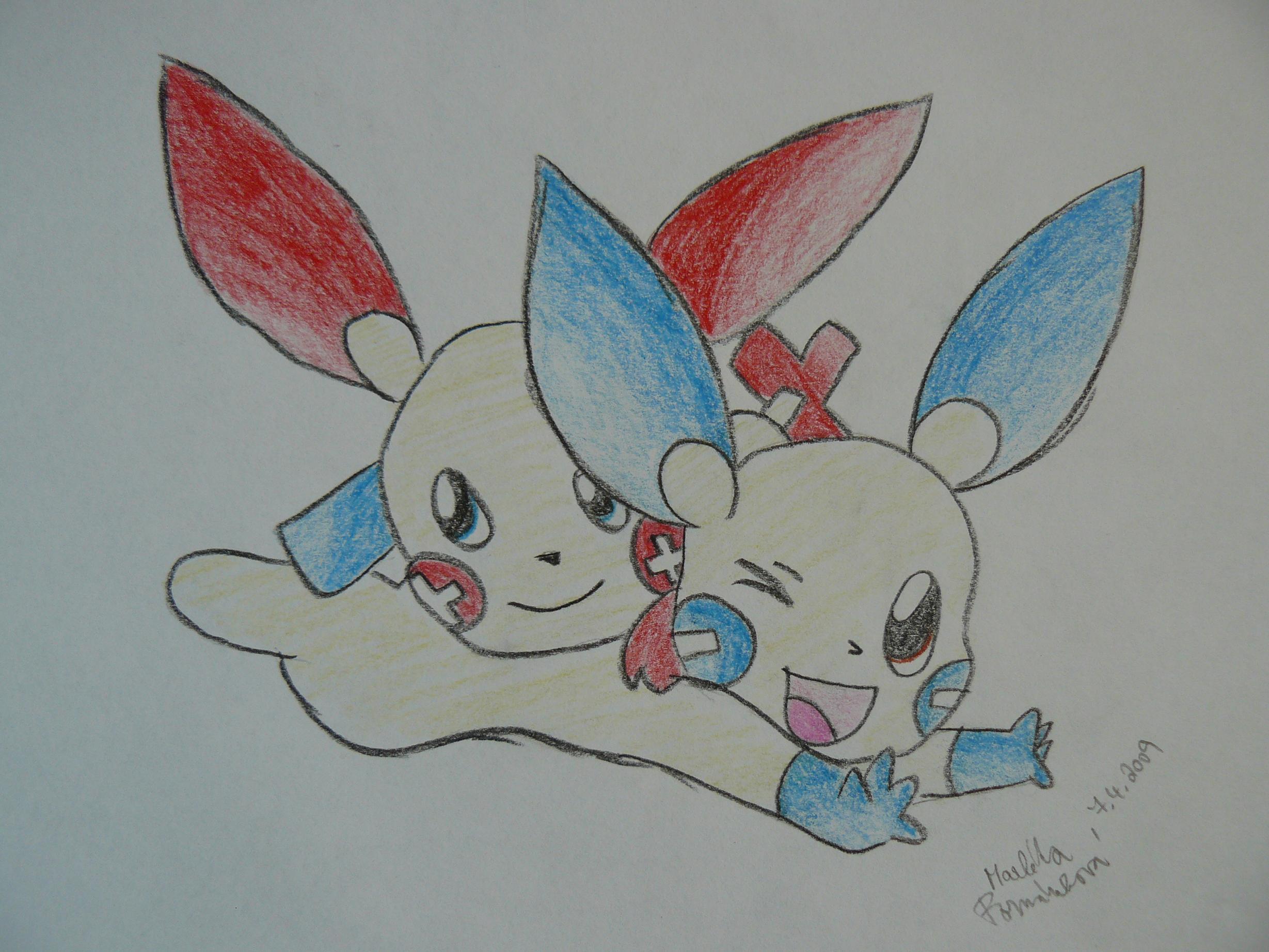 Marky: Minun a Plusle - opět spolu
