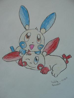 Marky: Minun a Plusle