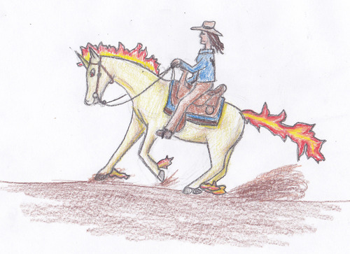 Skitta: Western Rapidash