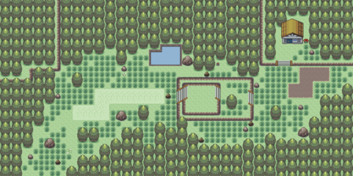 Hina: Route 203