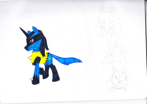 Eressiël: Ponycario
