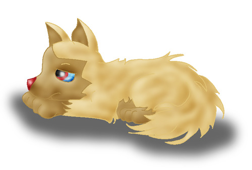 Abigail: Poochyena