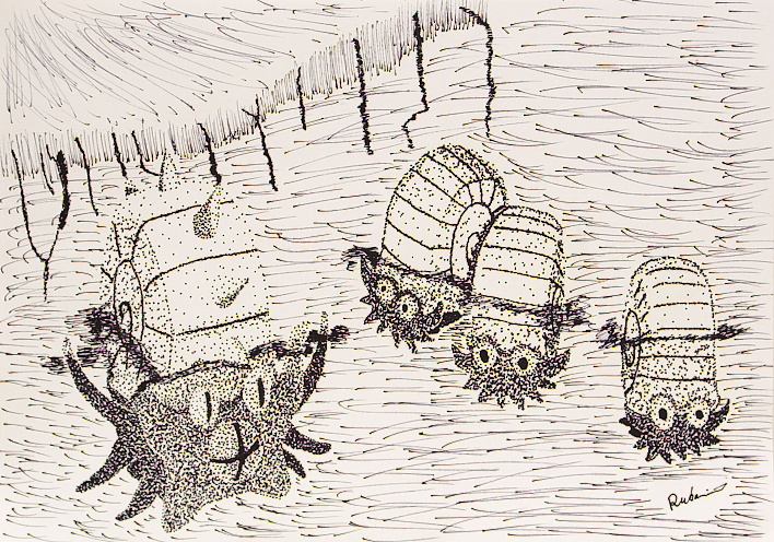 Rukario Nakamura: Omanytes and Omastar