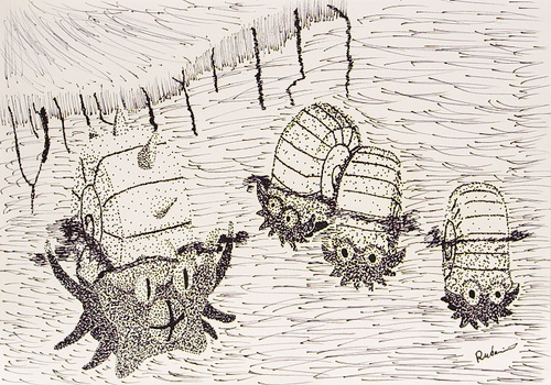 Rukario Nakamura: Omanytes and Omastar
