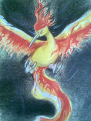 Charizardman: Moltres