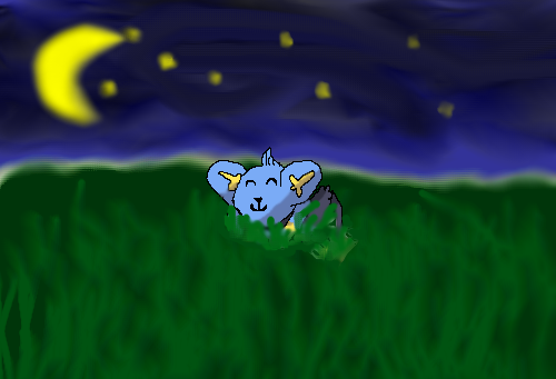 papoušek: Good night,Shinx