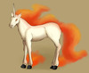 FireAnne: Rapidash od Aki