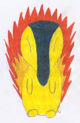 Denny: Cyndaquil