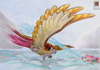 b.dragon: Pidgeot na lovu