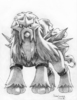 Ashelinka: Entei