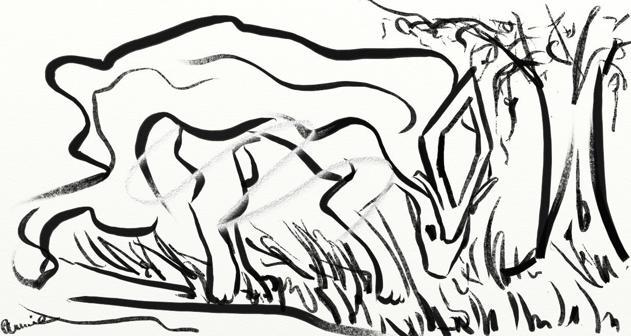 FireAnne: Suicune - ink