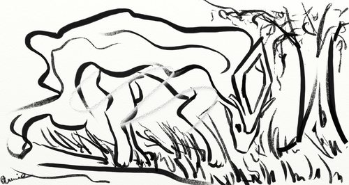 FireAnne: Suicune - ink
