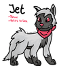 Windshadow: Jet