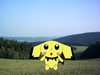 Pichu: Pichu na horách