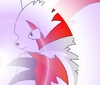 Tajemná Ninetales: Zangoose pro Arkinu