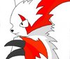 Tajemná Ninetales: Zangoose pro Arkinu