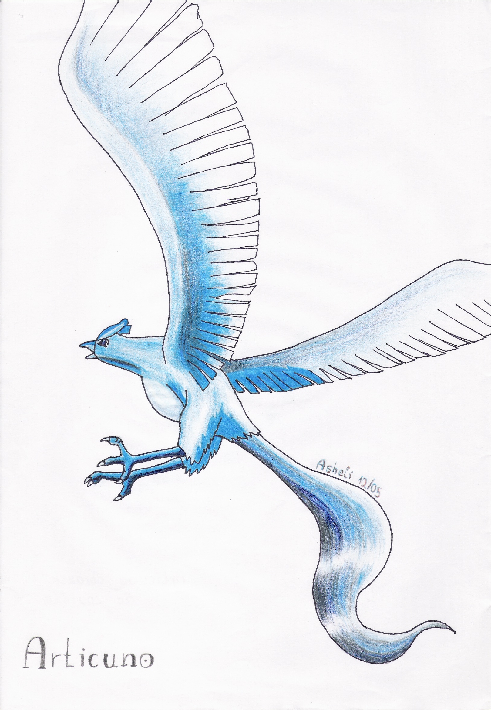 Ashelinka: Articuno