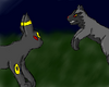 FireAnne: Umbreon vs. Poochyena