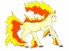 Amiable Suicune: Rapidash