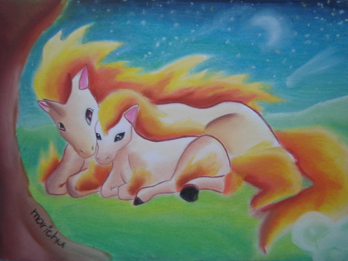 Marichu: rapidash so svojou malou ponytou