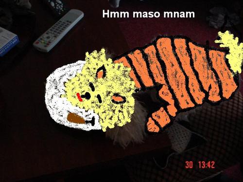 Arcanine-x: Arcanine 2
