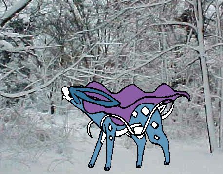 Quinis: Suicune Wolf