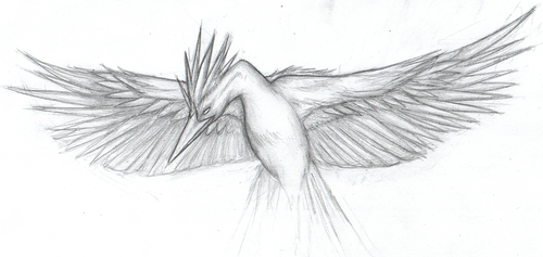 FireAnne: Fearow .D