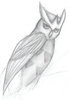 FireAnne: Noctowl