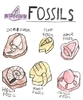 Nidoking: Pokemon Fossils