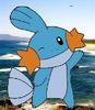 kolipo: Mudkip