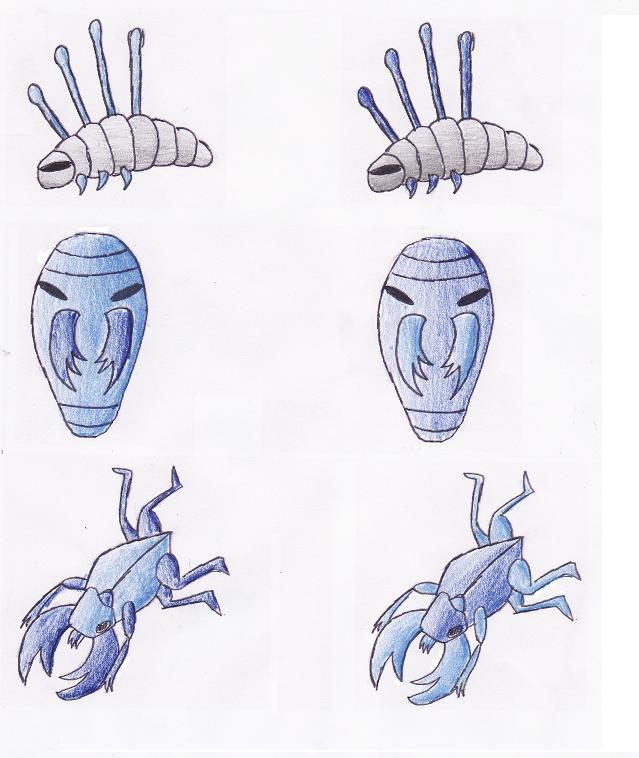 Voltorb: No.12 Larven ♂, No.13 Cooconhard ♂, No.14 Hornma