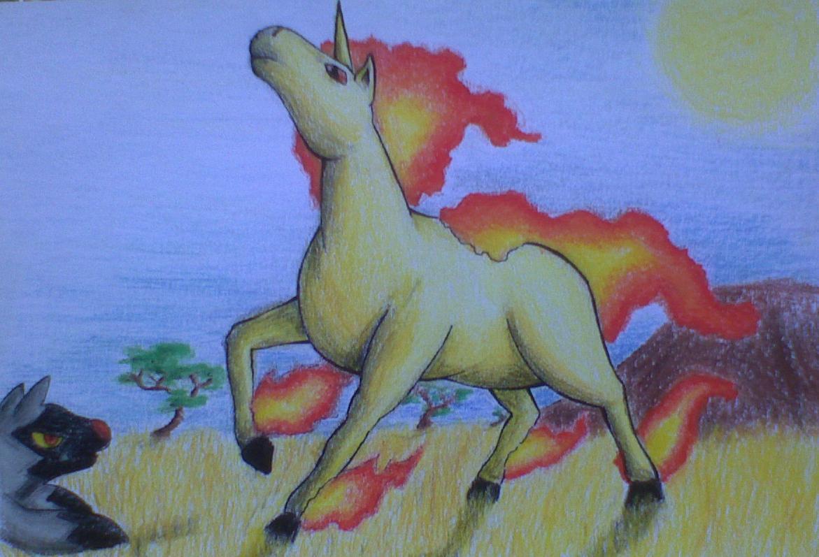 Frox26: Rapidash