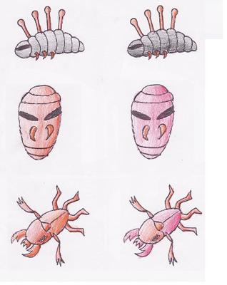 Voltorb: No.15 Larven ♀, No.16 Cooconhard♀ , No.17 Hornfe