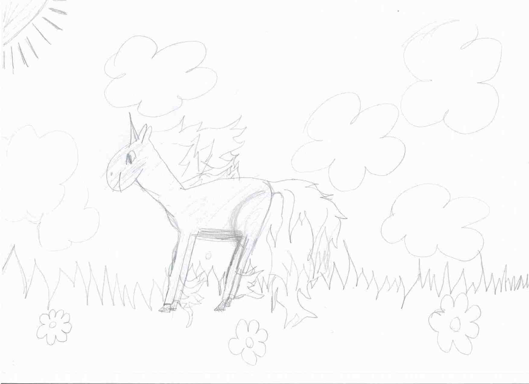 Dark sneasel: Rapidash