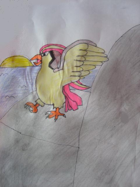 Dark pikacu: Pidgeot a západ slunce