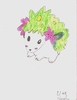 Charla: Shaymin