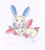 Marky: Minun a Plusle