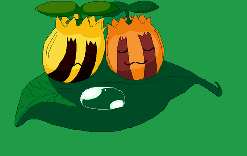 Gardi: Sunkerns