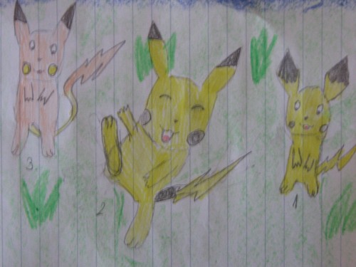 papoušek: Pichu,Pikachu a Raichu