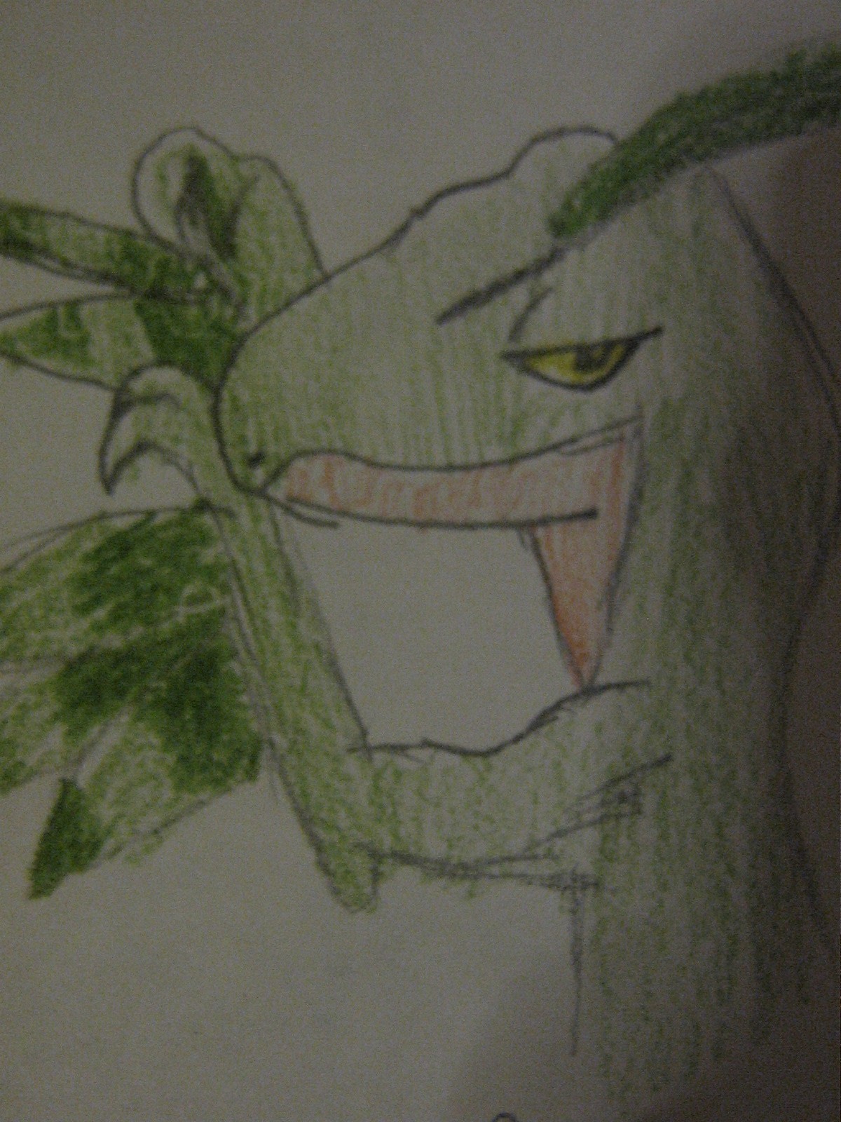 papoušek: Grovyle