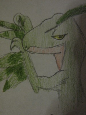 papoušek: Grovyle