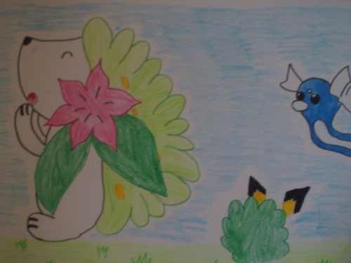 Water Buizel : Shaymin, Pichu a Dratini pro Shaymin