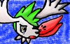 Articuno: Shaymin