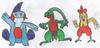 LibeCZ: Marshtomp,Grovyle,Combusken