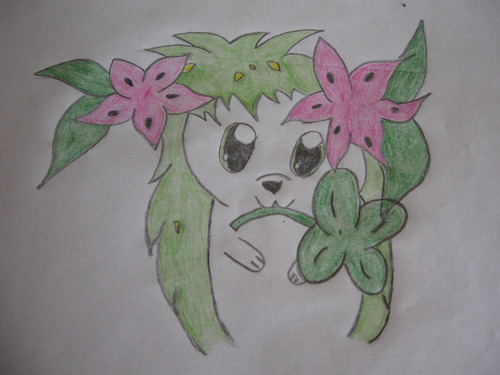 kristy: shaymin pro Gabi Empy