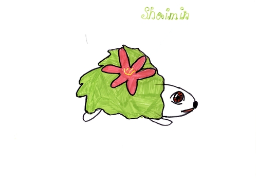 Clamperl: Shaymin2