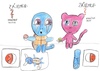 Clamperl: Mew a Squirtle