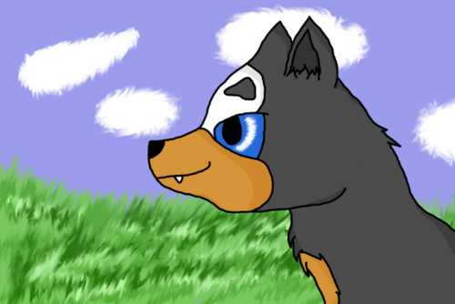 Water Buizel : Houndour pro aksile11