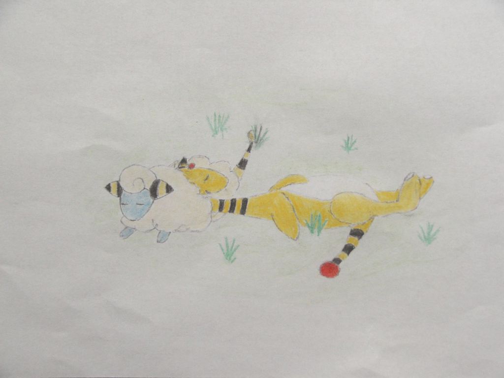 WT: Ampharos &amp; Mareep